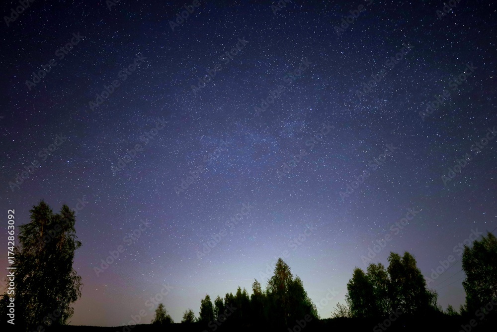 Fototapeta premium Pod niebem gwiazd