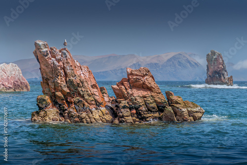 Rock in the ocean at Ballestas island in Paracas, seastars and seagull on the rock 