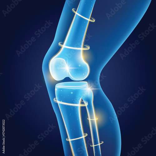 Knee Joint Energy Nourishment Flow Vector illustration