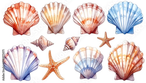 Watercolor collection of diverse ocean shells and starfish