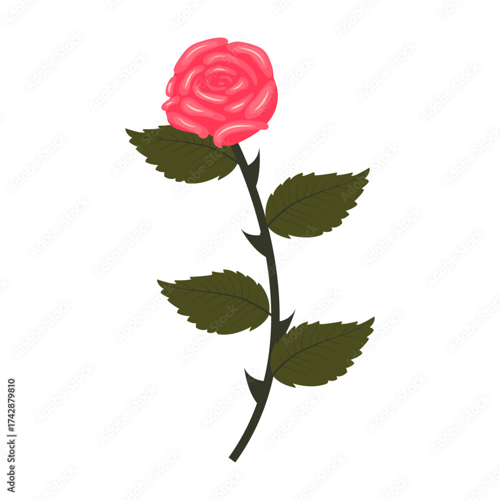 Obraz premium Bright pink rose. Lush flower on a curved stem. Vector illustration isolated on a white background.