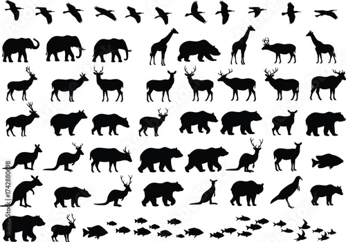 Silhouette animal collection with mammals, birds, reptiles, fish, wildlife taxonomy, zoological illustration, environmental design, biodiversity reference, nature art