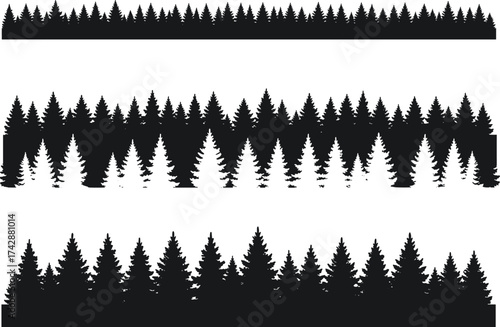 Silhouette conifer forest rows with pine trees, sparse to dense foliage, outdoor woodland design, botanical illustration, environmental landscape art