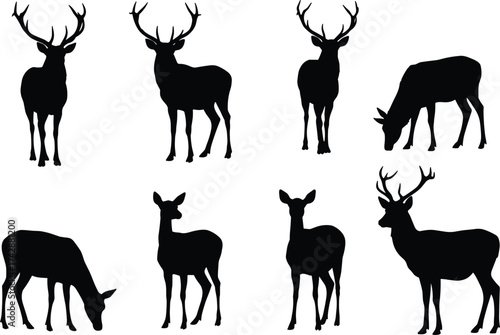 Silhouette deer collection with antler variations, wildlife poses, zoological illustration, animal taxonomy, environmental design, biodiversity reference, nature art