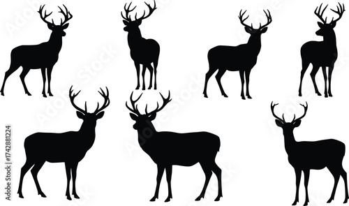 Silhouette deer collection with antler variations, wildlife poses, zoological illustration, animal taxonomy, environmental design, biodiversity 