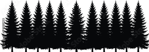 Silhouette conifer tree collection with pine shapes, pointed tops, dense foliage, outdoor forest design, botanical illustration, environmental landscape art