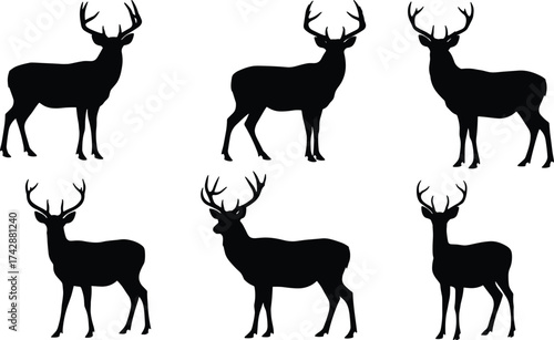 Silhouette deer collection with antler variations, wildlife poses, zoological illustration, animal taxonomy, environmental design, biodiversity reference, nature art