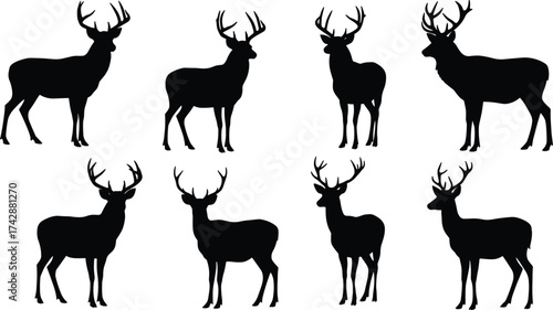 Silhouette deer collection with antler variations, wildlife poses, zoological illustration, animal taxonomy, environmental design, biodiversity reference, nature art