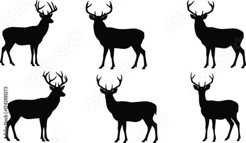 Silhouette deer collection with antler variations, wildlife poses, zoological illustration, animal taxonomy, environmental design, biodiversity reference, nature art