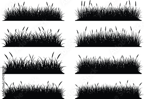 Silhouette grass patch collection with varied blade lengths, seed heads, cattails, outdoor landscape, botanical illustration, environmental design art