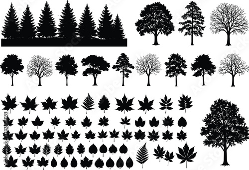 Silhouette tree and leaf collection with conifer, deciduous, assorted foliage shapes, botanical study reference, outdoor landscape, environmental illustration art
