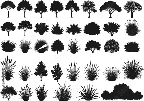 Silhouette tree and plant collection with deciduous trees, shrubs, grasses, foliage variations, outdoor landscape, botanical illustration, environmental concept art