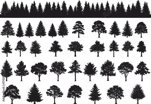 Silhouette tree collection with conifer, deciduous, stylized variations, dense forest row, outdoor landscape, botanical illustration, environmental design, nature art