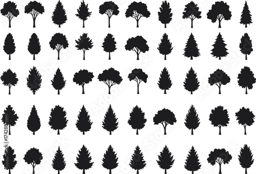 Silhouette tree collection with deciduous, conifer variations, outdoor landscape, botanical illustration, environmental design, taxonomy reference, nature art catalog grid