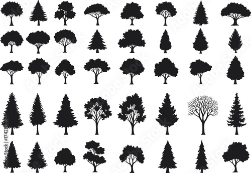 Silhouette tree collection with deciduous, conifer variations, outdoor landscape, botanical illustration, environmental design, taxonomy reference, nature art catalog