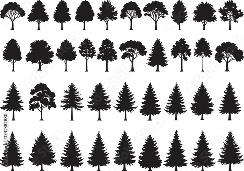 Silhouette tree collection with deciduous and conifer variations, outdoor landscape, botanical illustration, environmental design, nature art, taxonomy reference