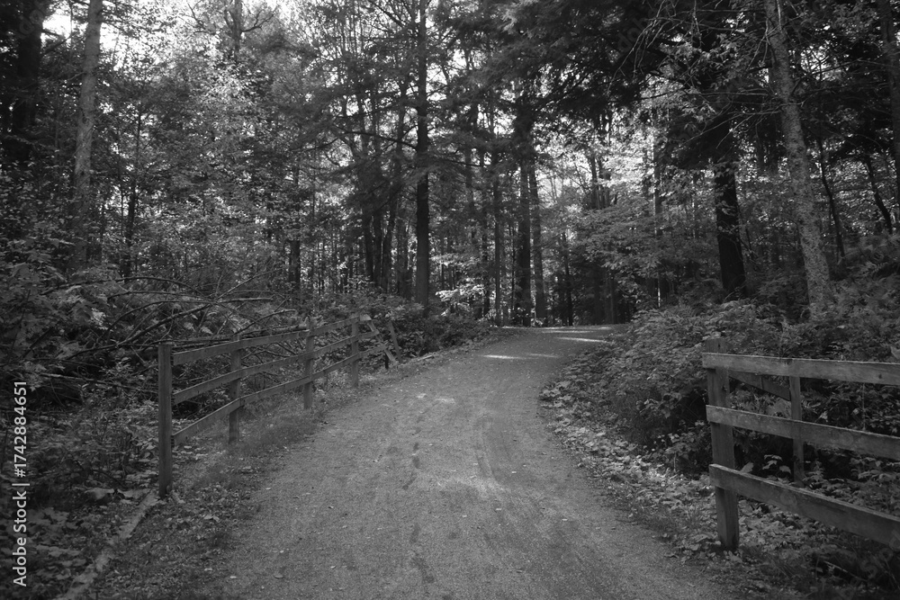 Naklejka premium La Plaine 5 Octobre 2025 - N&B