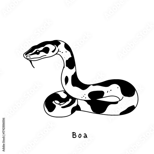 Boa Constrictor. Boa Constrictor simple black and white line art vector logo