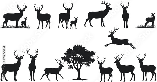 Silhouette deer and tree composition, wildlife scene illustration, animal taxonomy, zoological reference, environmental design, nature art, biodiversity catalog