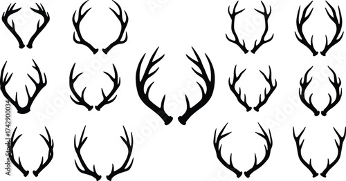 Silhouette deer antler collection, branching variations, zoological illustration, wildlife taxonomy, animal morphology, decorative design, biodiversity reference, nature art