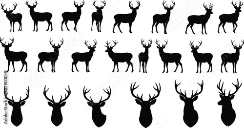 PrintSilhouette deer collection with antler variations, full body and head views, wildlife poses, zoological illustration, taxonomy reference, nature art