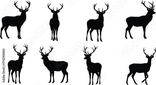 Silhouette deer collection with antler variations, multiple viewing angles, wildlife poses, zoological illustration, animal taxonomy, environmental design, nature art