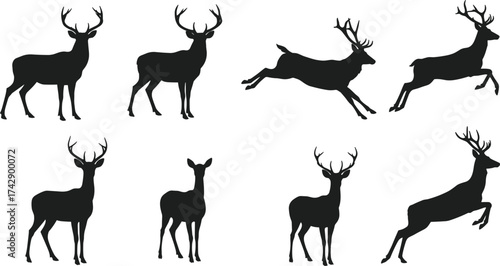 Silhouette deer collection with antler variations, standing and leaping poses, wildlife illustration, zoological taxonomy, animal reference, nature art