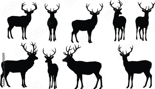 Silhouette deer collection with antler variations, wildlife poses, zoological illustration, animal taxonomy, environmental design, biodiversity reference, nature art