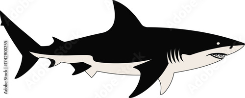 Powerful shark swimming underwater with fierce expression and sharp fins