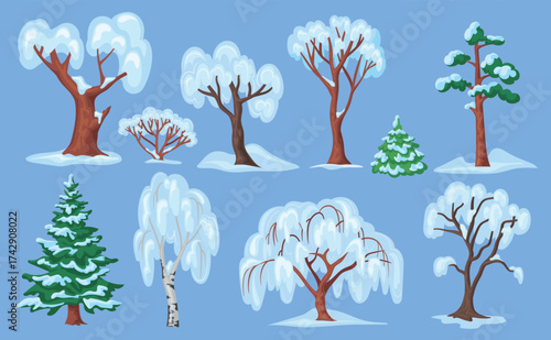 Cartoon snowy trees. Winter spruce tree snow frosty branches, pine fir birch december forest garden park bush nature christmas landscape wood elements set neat vector illustration