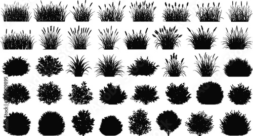 Plant silhouettes collection, ornamental grasses and shrubs, diverse foliage forms, garden landscape botanical illustration set, vector art