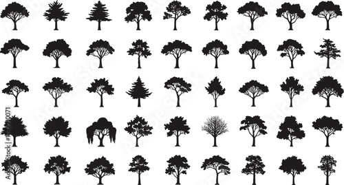 Tree silhouettes collection, 40 diverse species and shapes, deciduous conifer broadleaf canopy designs, botanical landscape illustration set, vector art