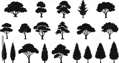 Tree silhouettes collection, diverse deciduous and conifer species, rounded spreading conical canopy designs, botanical landscape illustration set, vector art
