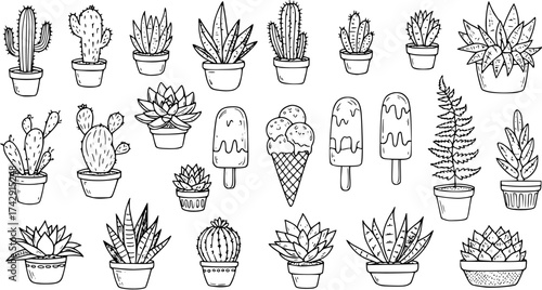 Hand-Drawn Cactus and Succulent Plants with Ice Cream Collection in Pots, Black and White Doodle Style Vector Illustration