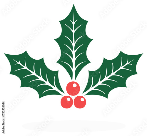 Stylized Vector Holly Berries with Leaves  Celebration Festive Decoration Simple and Clean Design