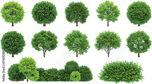 Diverse collection of lush green trees and bushes in cartoon style, ideal for nature-themed designs, eco projects, game assets, landscaping visuals, and digital 
