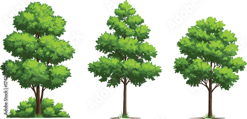 Three cartoon-style green trees with unique shapes and lush foliage, ideal for nature illustrations, game Three cartoon-style green trees with unique shapes and lush foliage, ideal for nature illustra