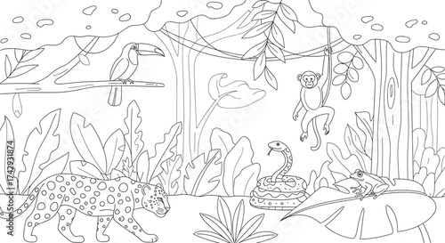 Vector outlined jungle scene with jaguar, toucan, monkey, snake, and frog in a forest setting