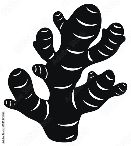 Ginger root silhouette in black and white