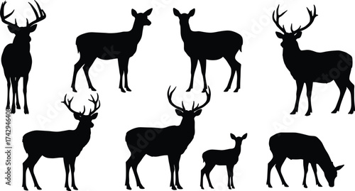 Deer silhouettes set, male and female profiles, antler and non‑antler variations, wildlife vector art, forest animal icons, hunting design illustration