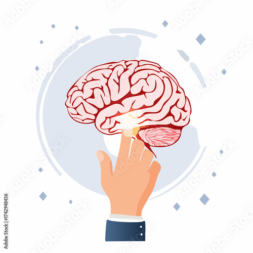 Human Brain Exploration Hand Interacting with Brain Model on Digital Backdrop
