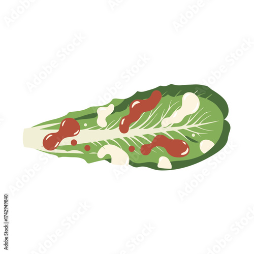 Fresh Romaine Lettuce Leaf with Salad Dressing.