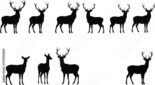 Deer silhouettes collection, male and female profiles, antler and non‑antler variations, wildlife vector icons