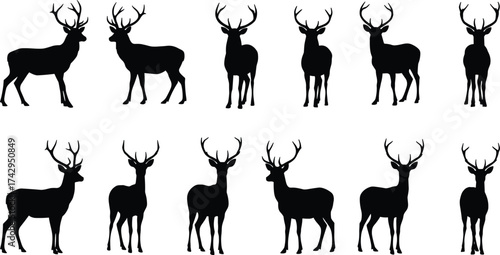Deer silhouettes collection, antler variations, wildlife vector illustration, forest animal icons, hunting design artwork, stag profile set, nature art illustration