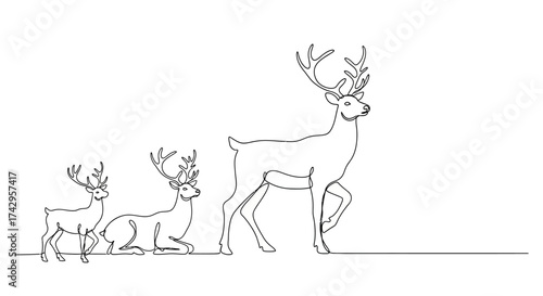 Illustration depicting the growth and development of deer, showcasing the stages from young to adult, perfect for educational materials