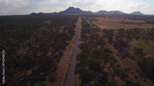 aerial view of bush in Africa , road , vegetation with acacia trees and shrubs