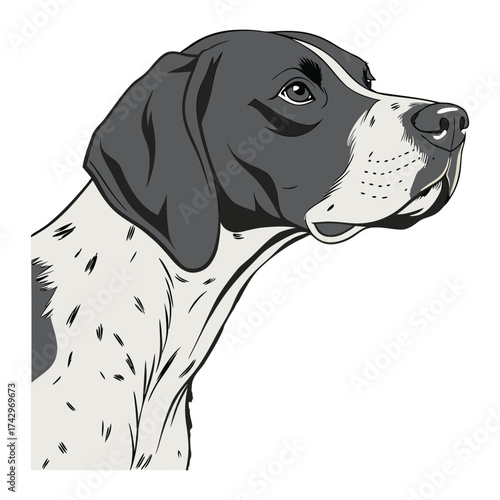 German Shorthaired Pointer Dog Head Logo - Detailed Sporting Breed Illustration