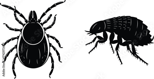 Silhouettes of tick and flea insects, parasite illustration, veterinary health concept, pest control design, insect biology artwork, disease carriers, flat vector