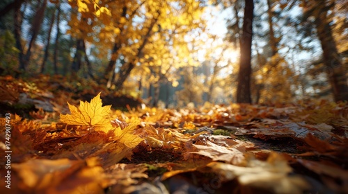 Nature's canvas: bright yellow leaves adorning a tranquil autumn park. Advertising photo. Golden bliss: an enchanting play of light in a verdant autumn park. Print ready. Sharp image.
