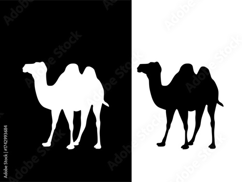 Camel Silhouette - Black and White Desert Animal Vector